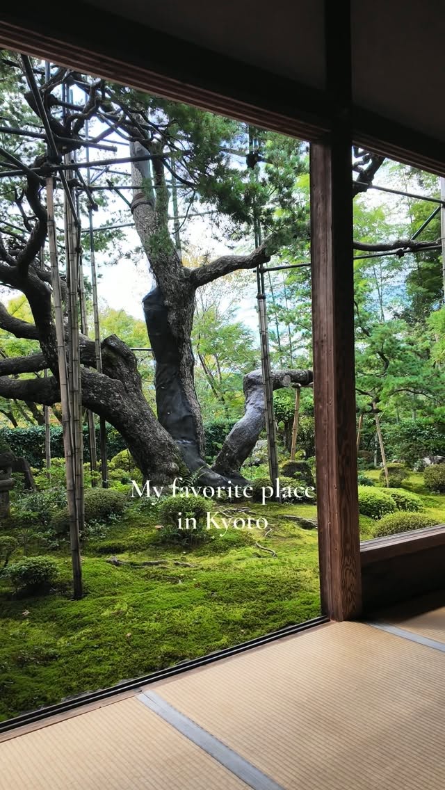 Kyoto Temples and Gardens Offer Serene Views