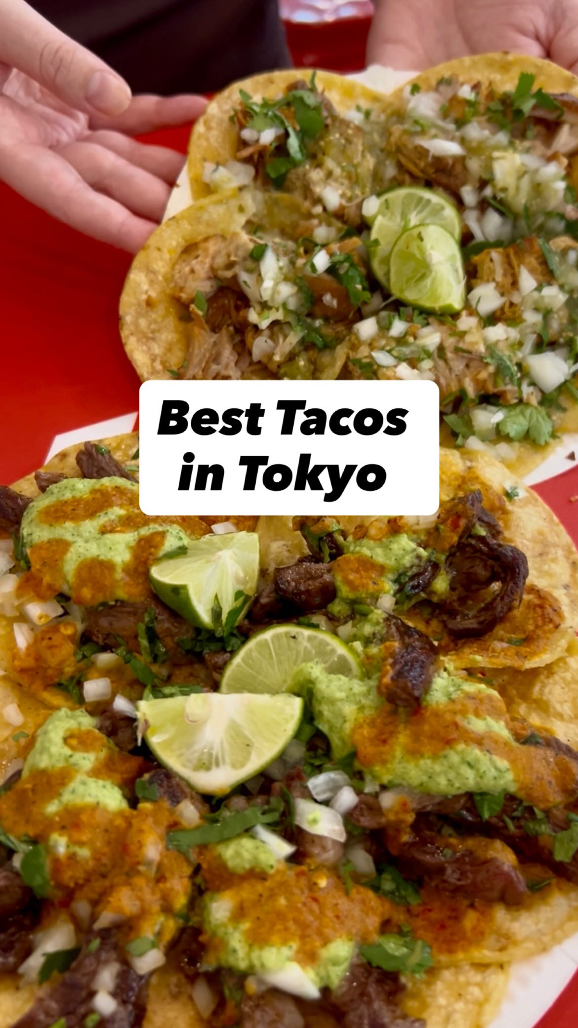 Authentic Mexican Street Tacos in Asakusa