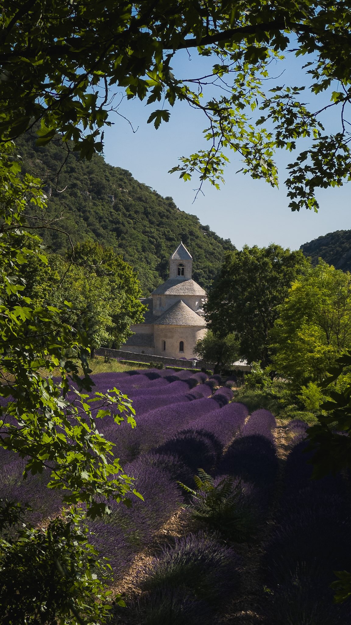 South of France Road Trip: Provence to Riviera
