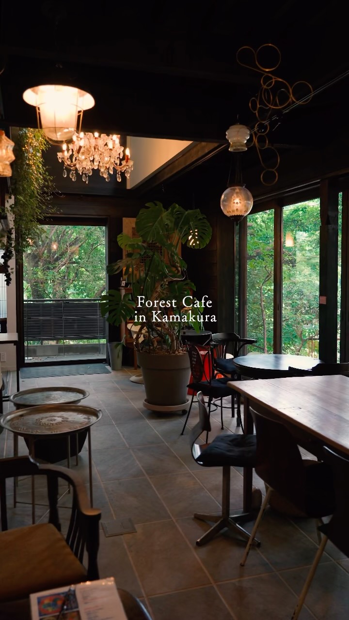 Kamakura Forest Cafe: A Hidden Retreat Near Tokyo