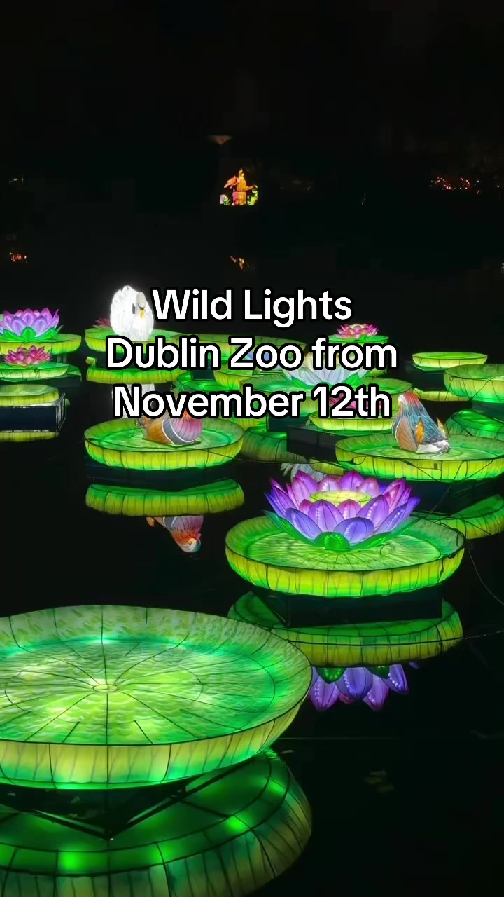 Dublin Zoo Lights Up With Global Celebrations