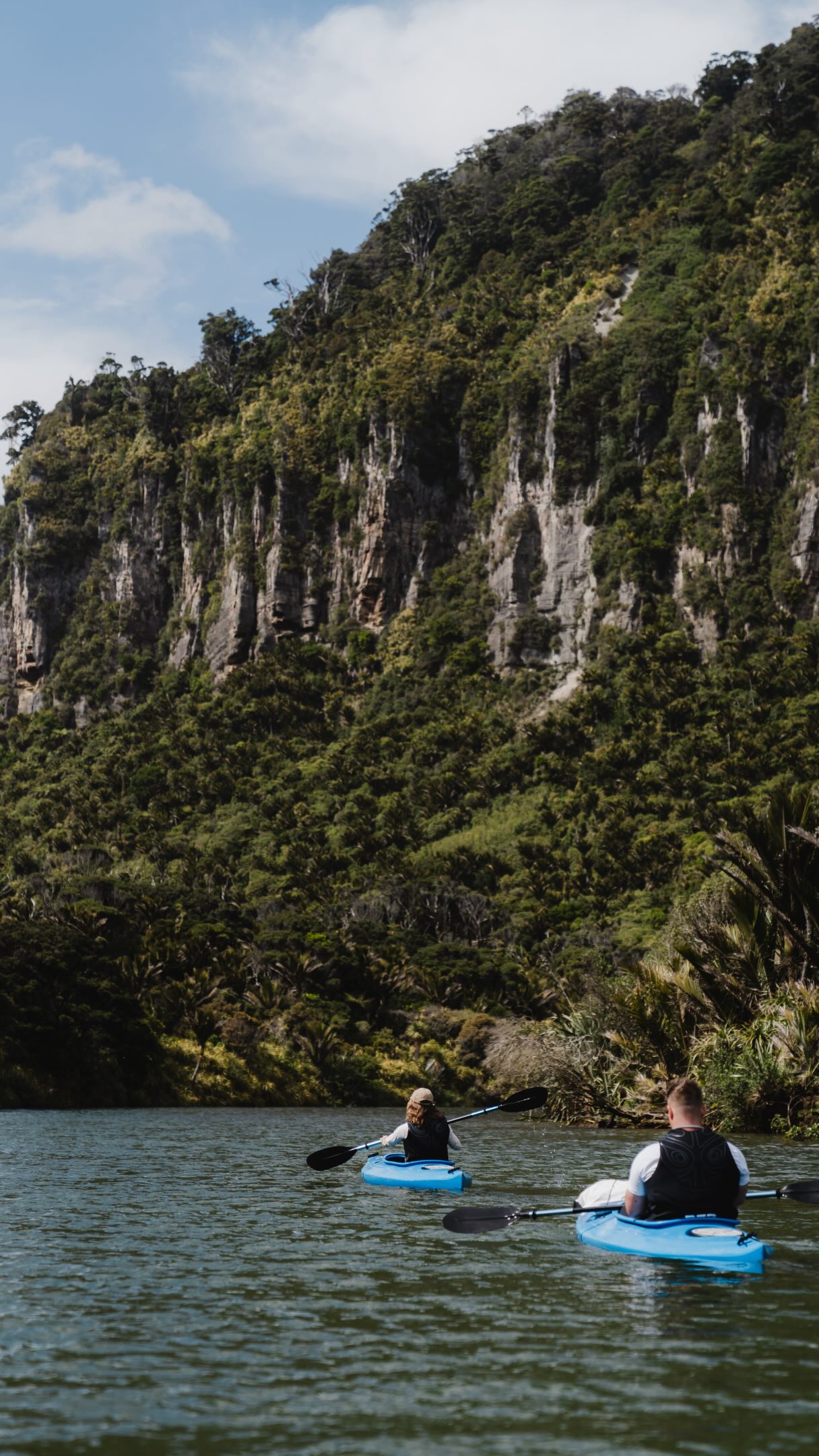 West Coast New Zealand's Hidden Natural Wonders