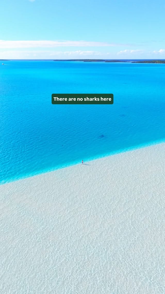 Aitutaki: A Tropical Island Paradise