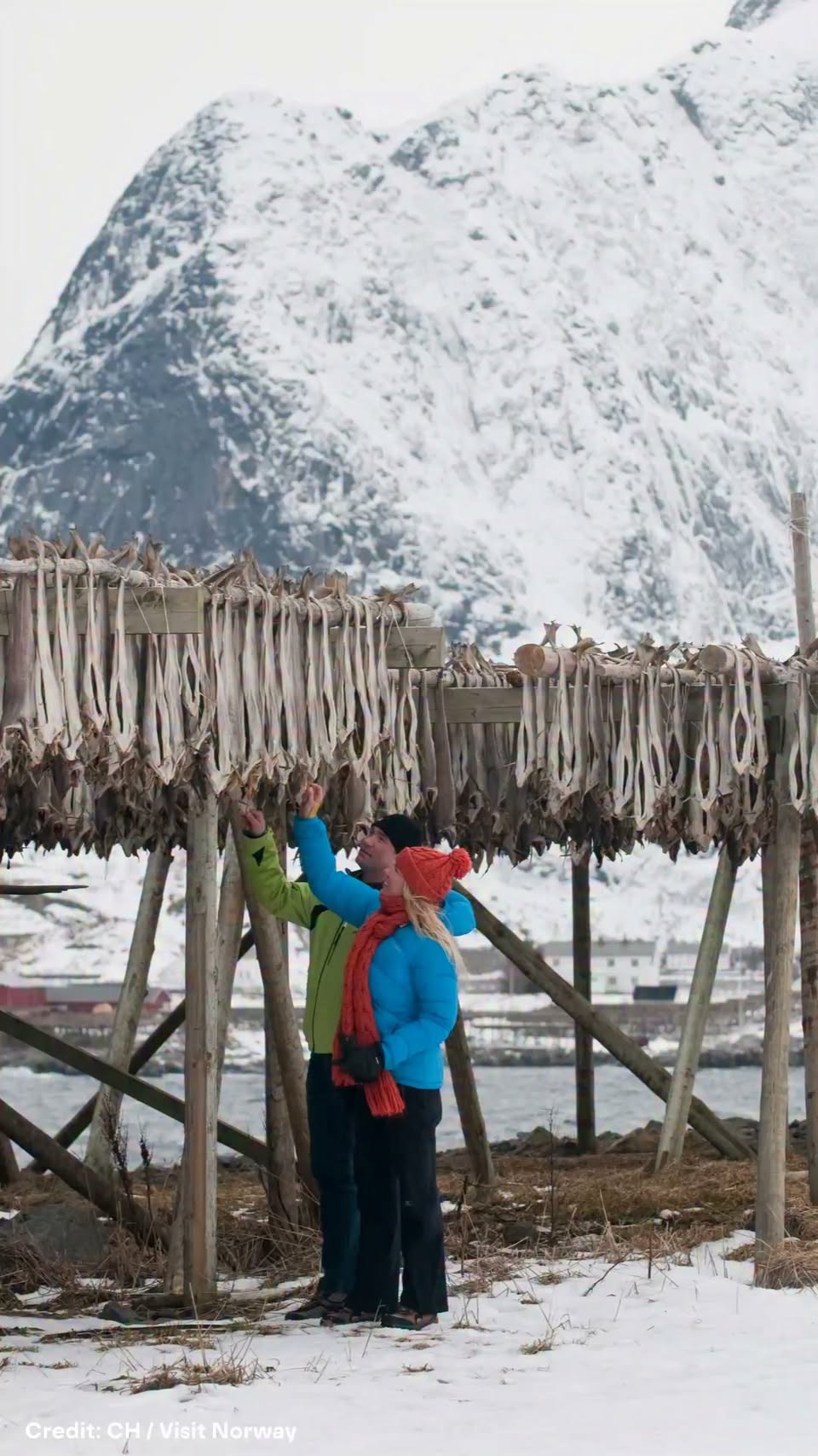 Lofoten Scenic Route's Top Villages, Museums, and Beaches