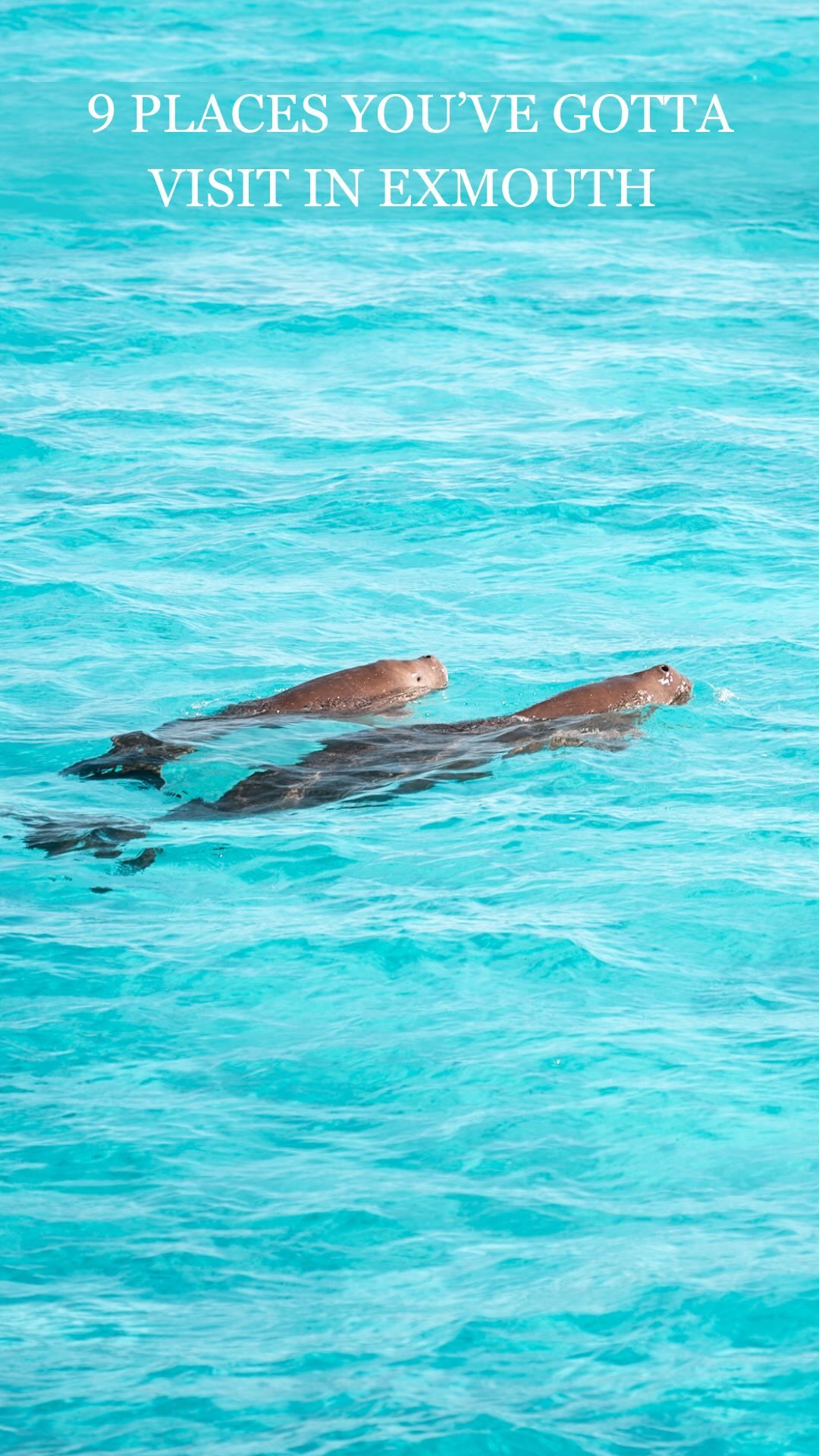 Exmouth Australia's Natural Wonders and Marine Life
