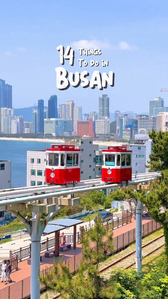 Busan's Beaches, Culture, and Coastal Attractions