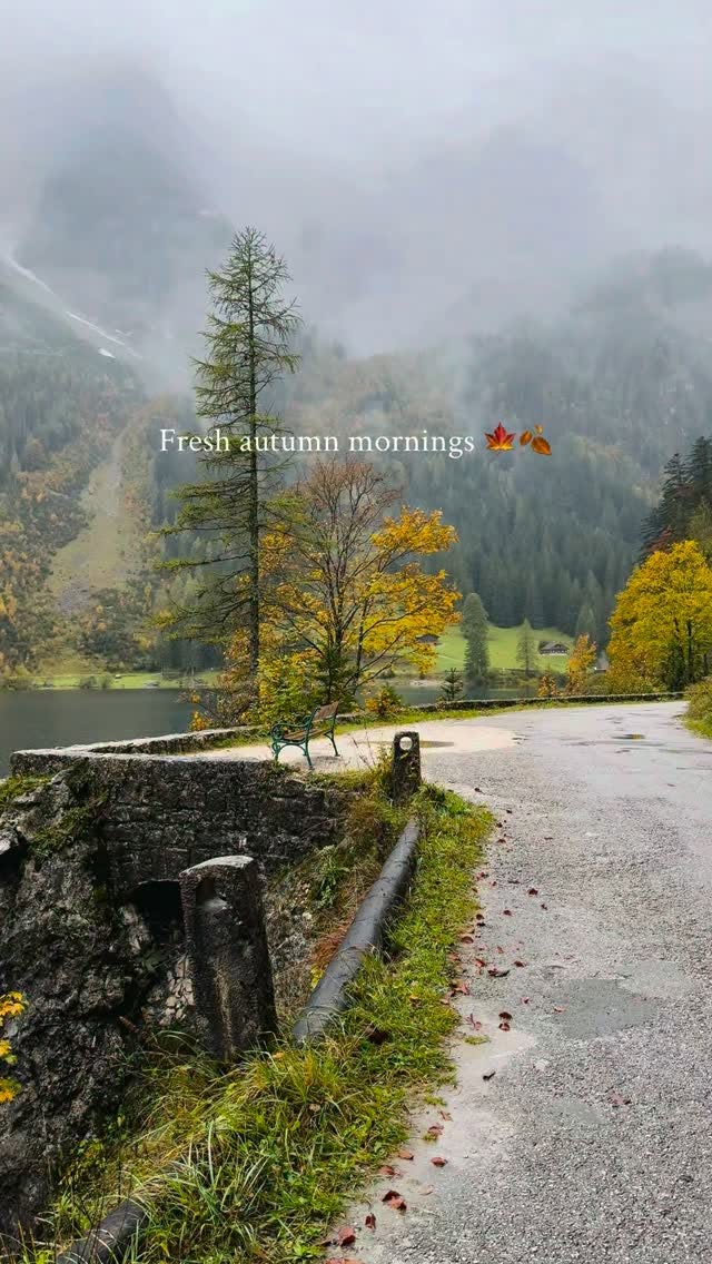 Austrian Lake Captures Serene Autumn Morning