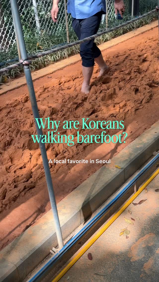 Seoul Barefoot Trail And Summit Views