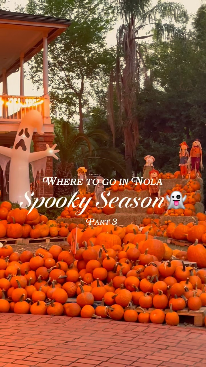 Largest Pumpkin Patch In New Orleans