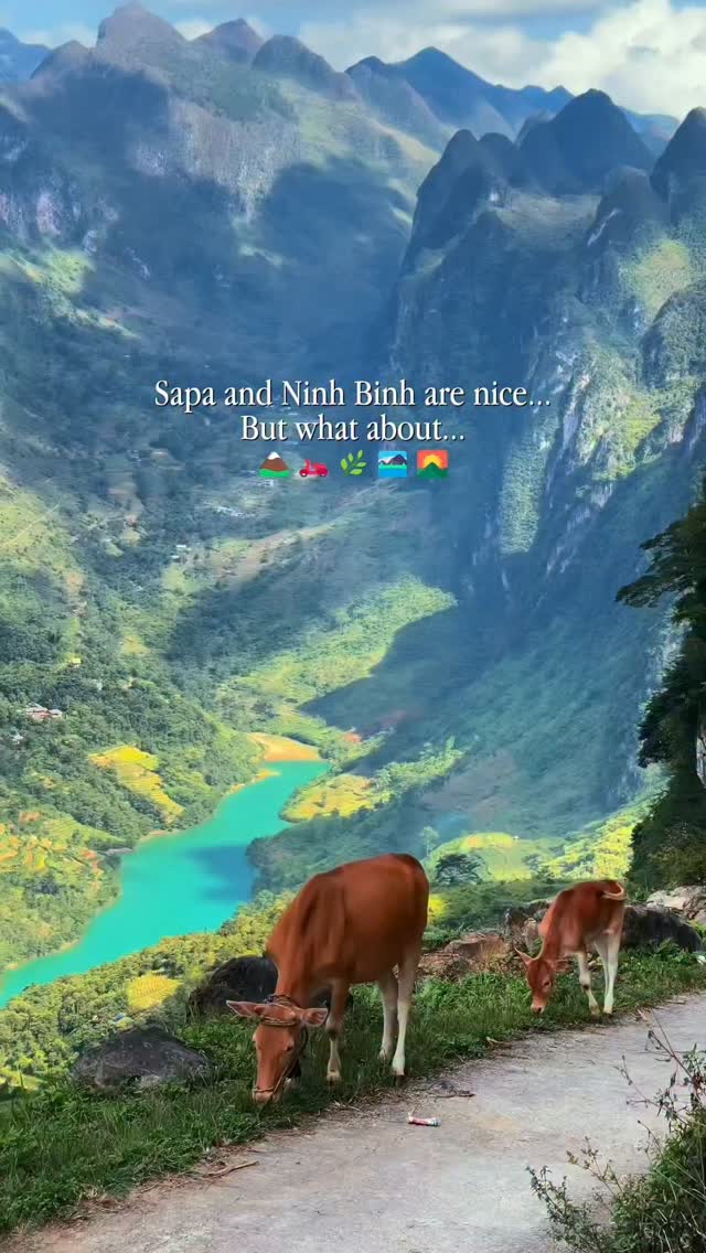 Ha Giang Loop: Vietnam's Underrated Scenic Adventure