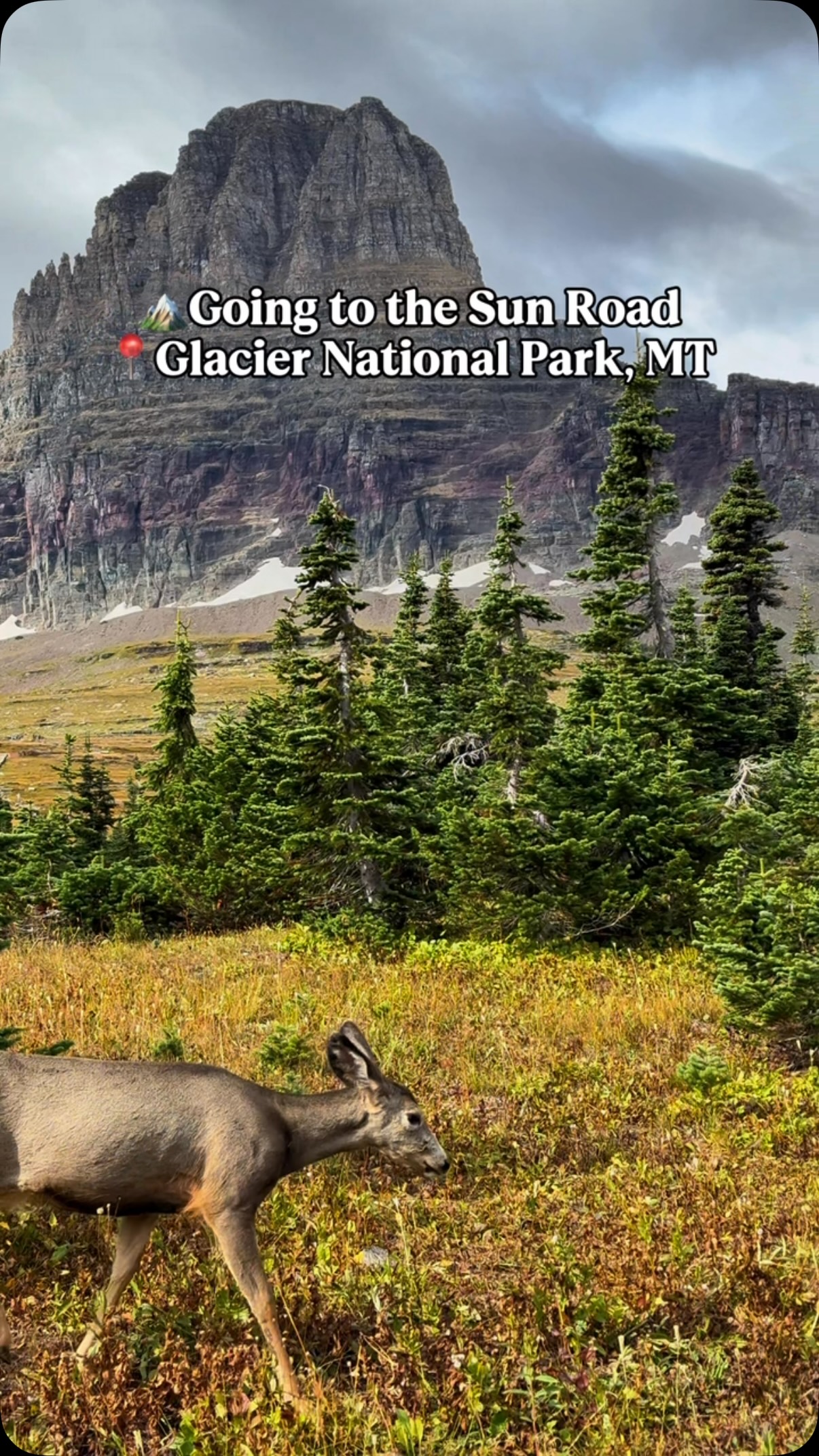 Glacier National Park's Scenic Driving Route