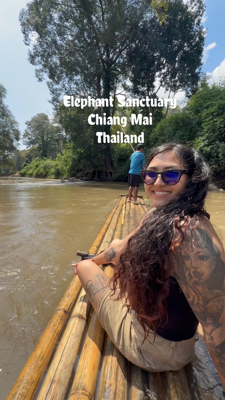 Elephant Nature Park Interactions With Rescued Elephants