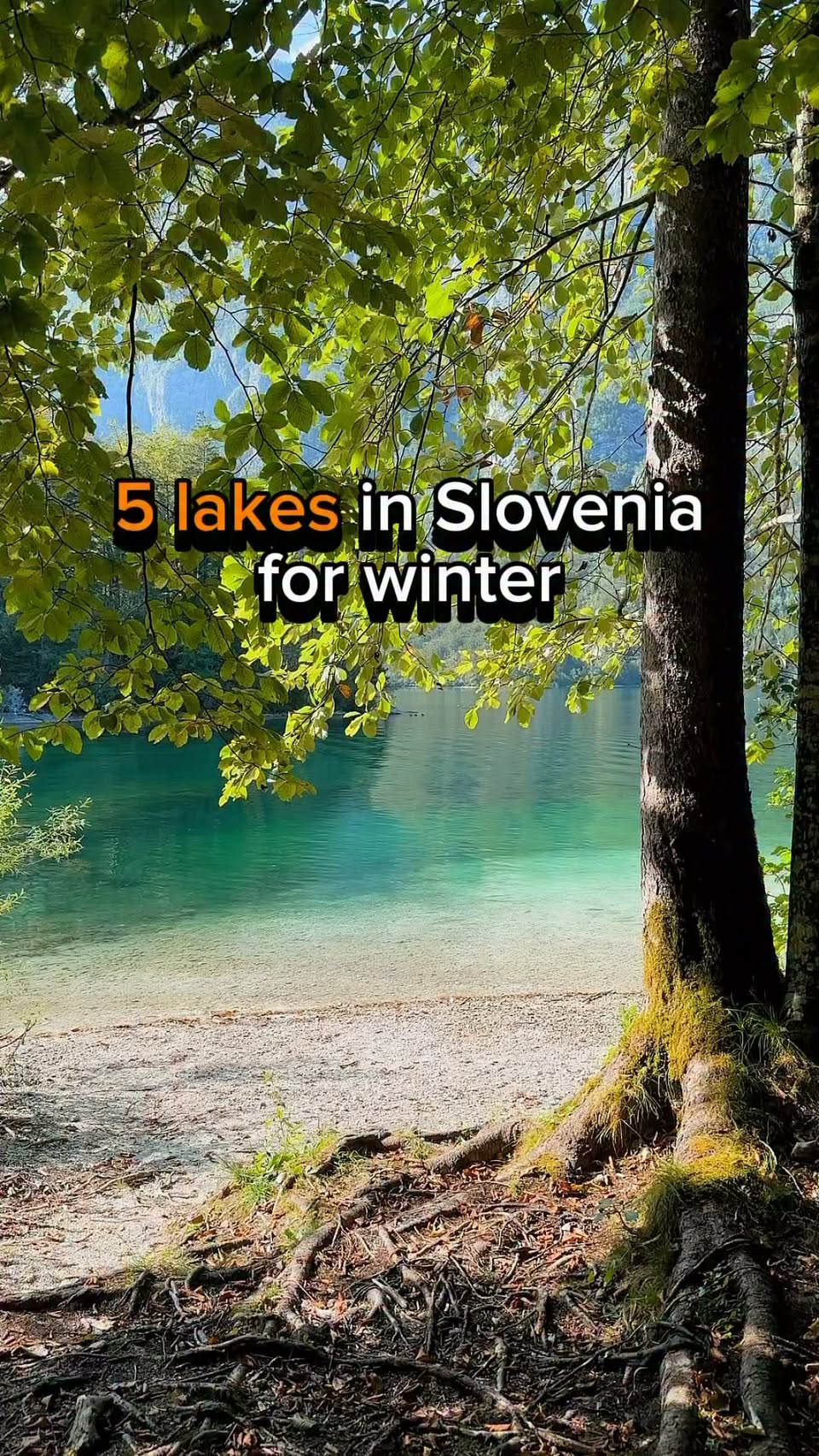 Slovenian Lakes: A Winter Wonderland