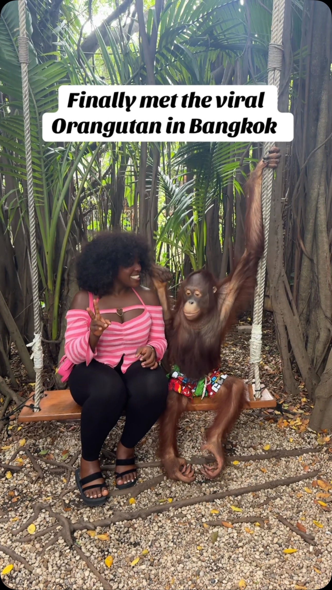 Safari World Bangkok Orangutan Encounter