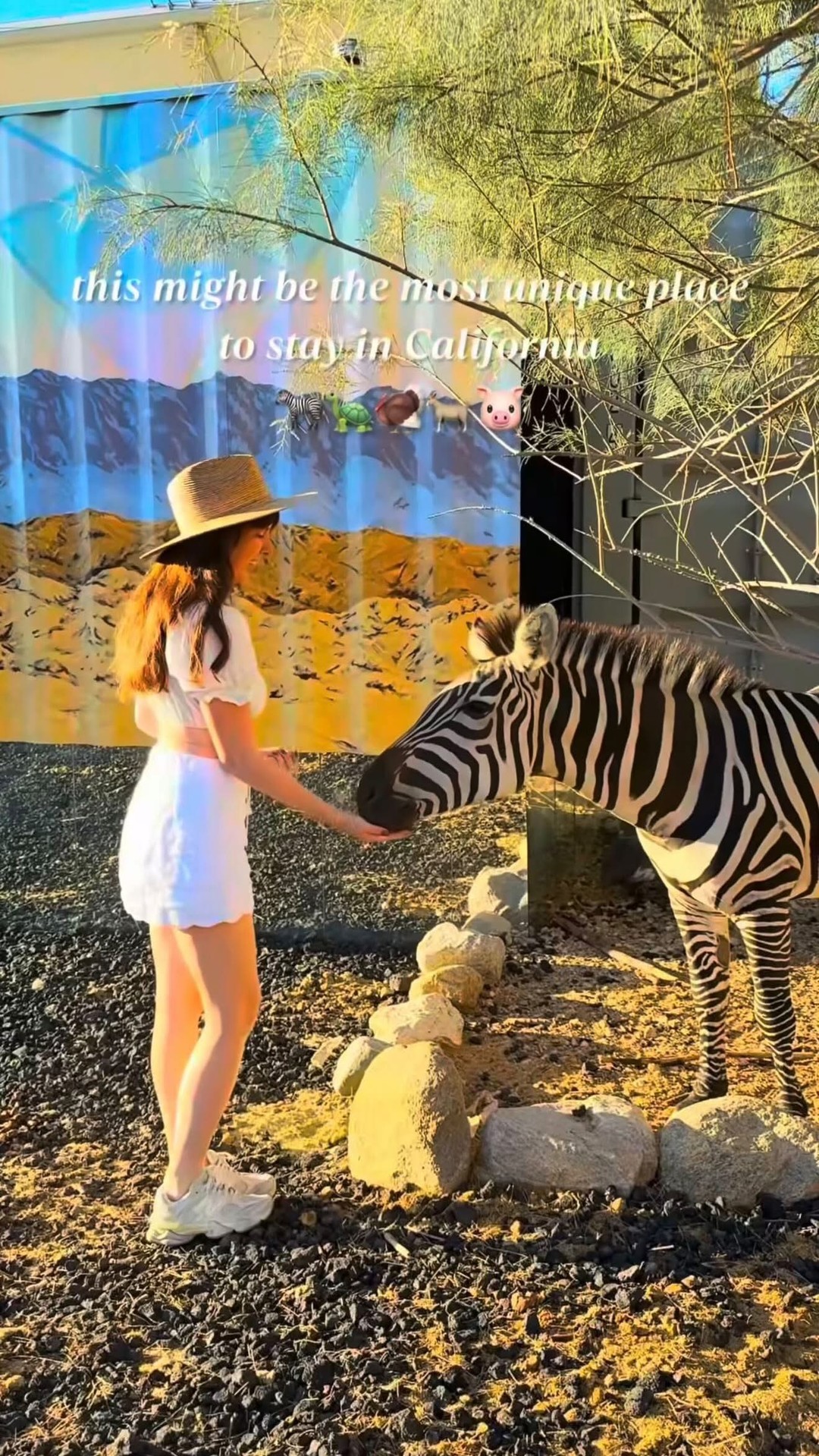 Animal Sanctuary Near Joshua Tree Offers Art and Nature