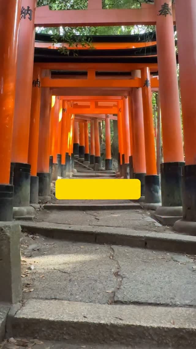 Kyoto's Top Temples, Shrines, and Sights