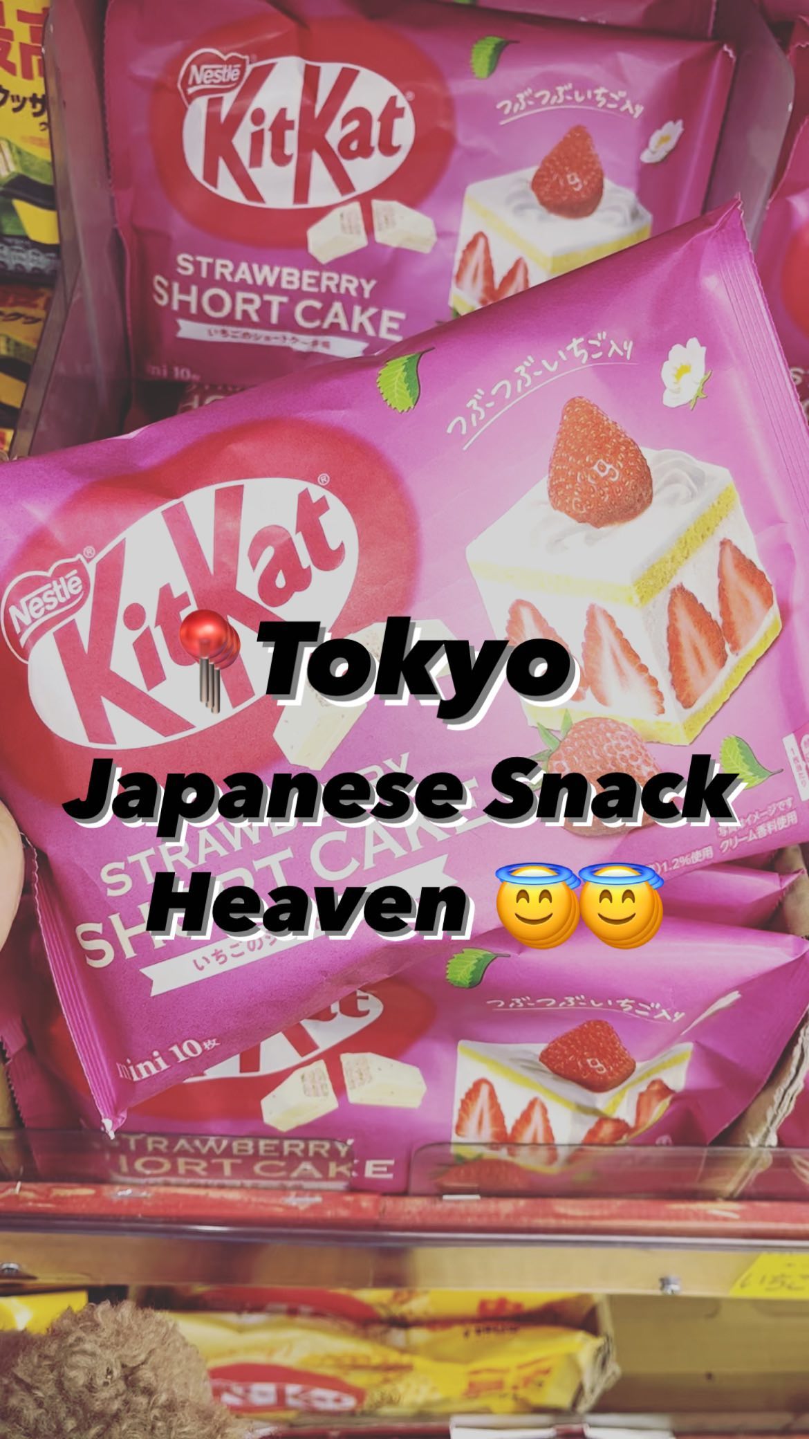 Niki No Kashi: Tokyo's Discount Snack Haven