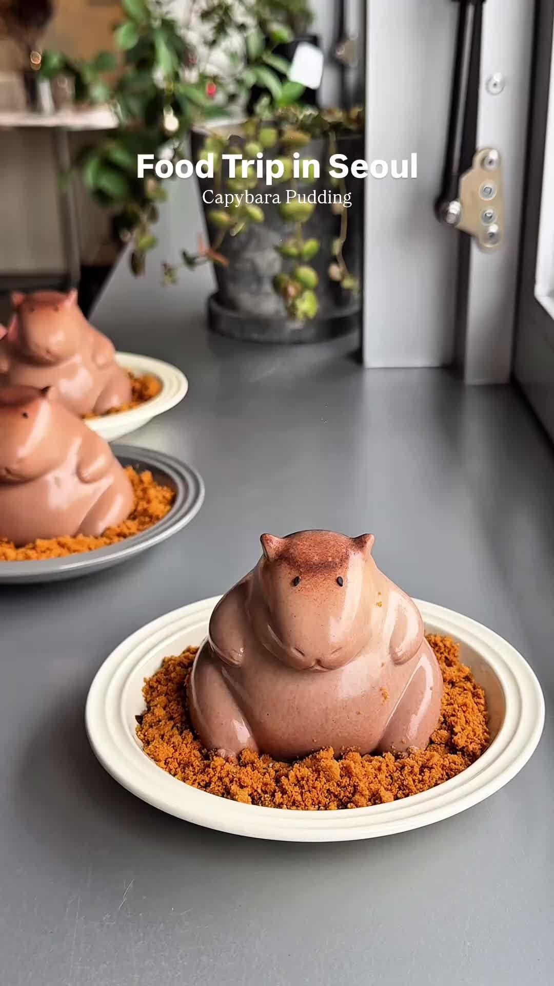 Capybara Puddings at Summer Lane Cafe