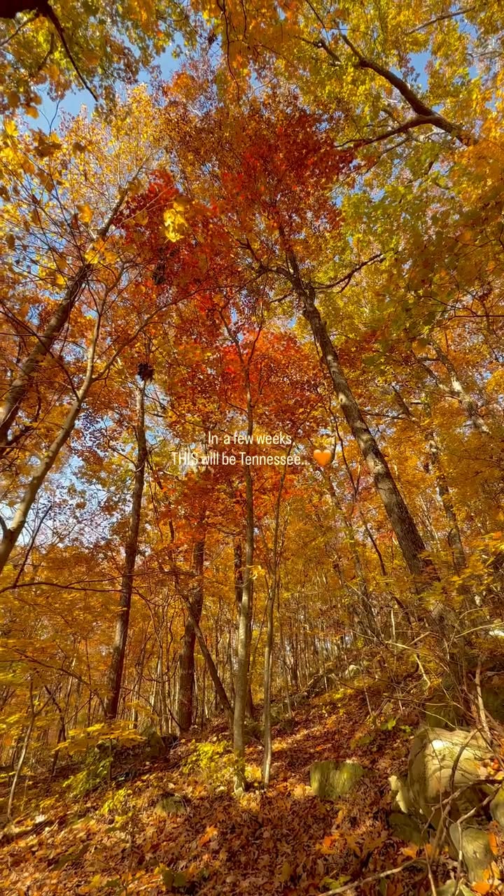 Tennessee's Autumn Colors And Stadium Spectacle