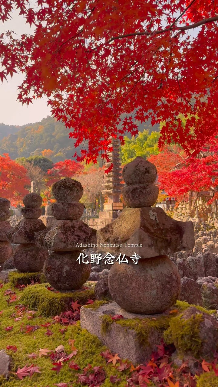 Autumn Beauty at Kyoto's Adashino Nenbutsu-ji