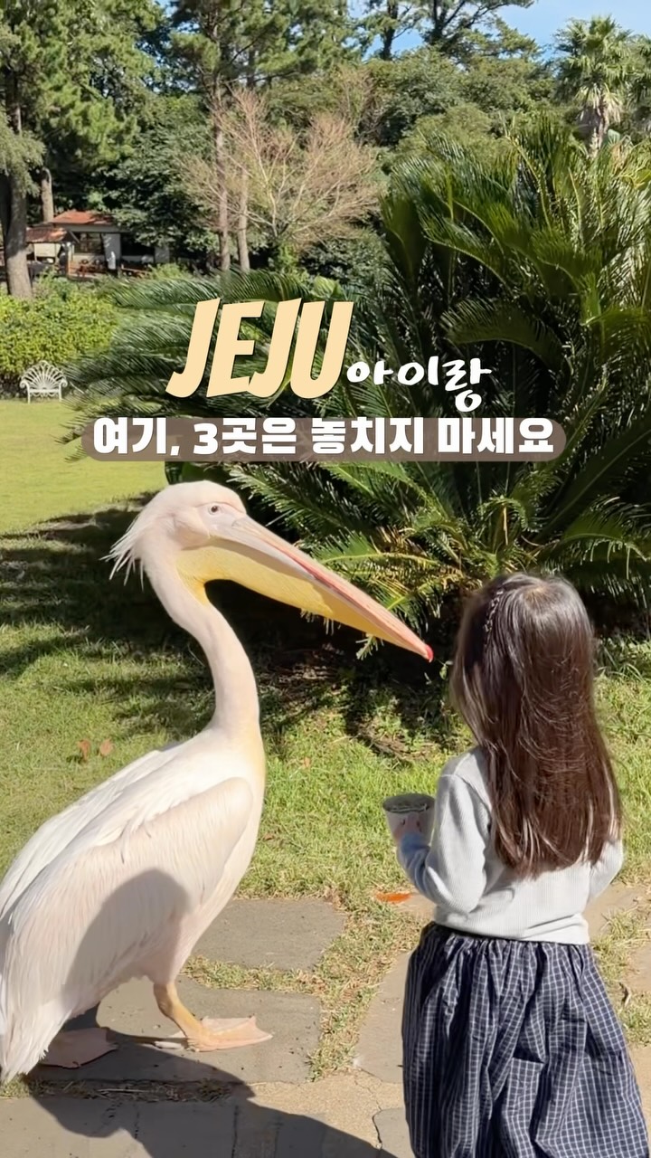 Family-Friendly Jeju Island Attractions