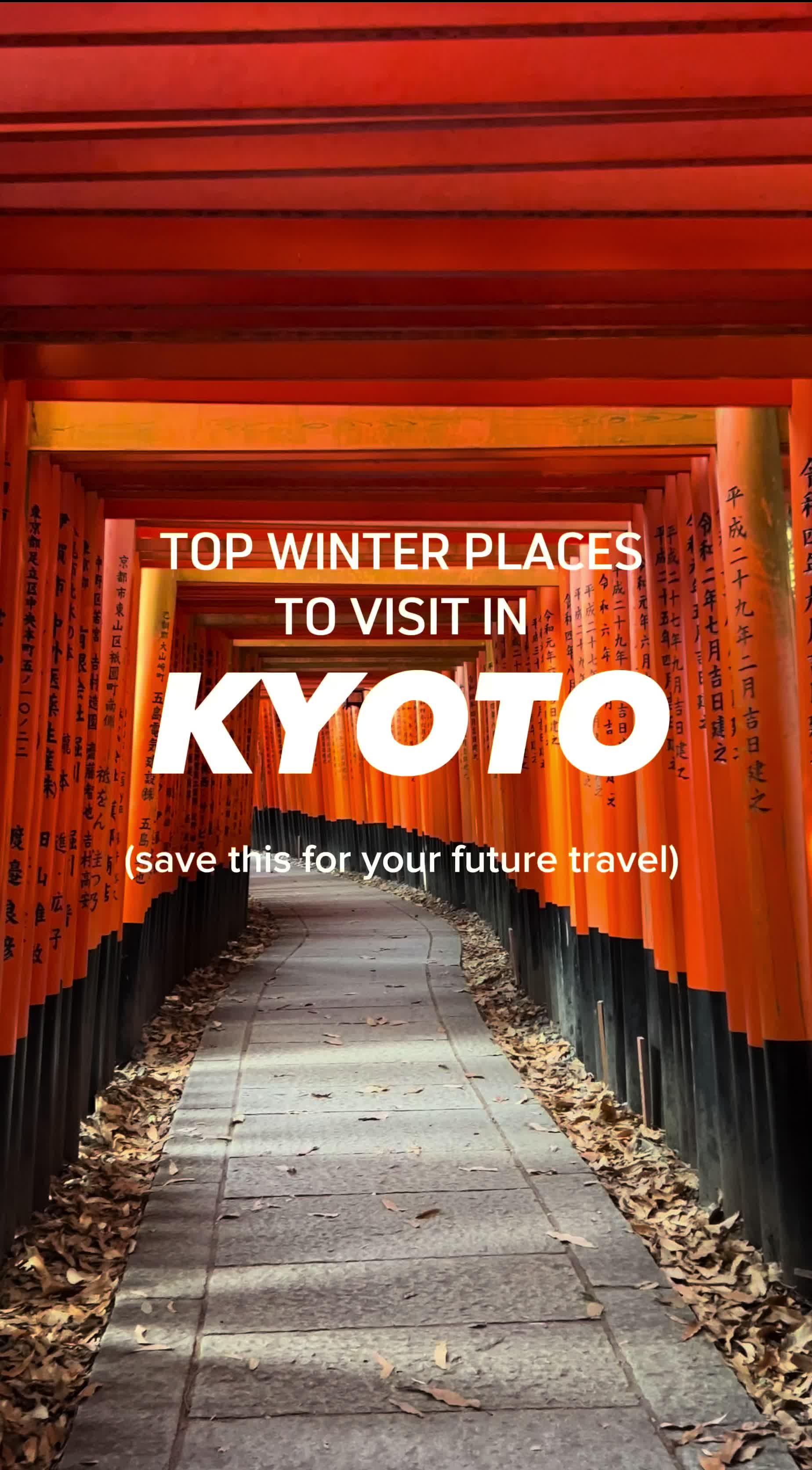 Kyoto's Snowy Winter Wonders