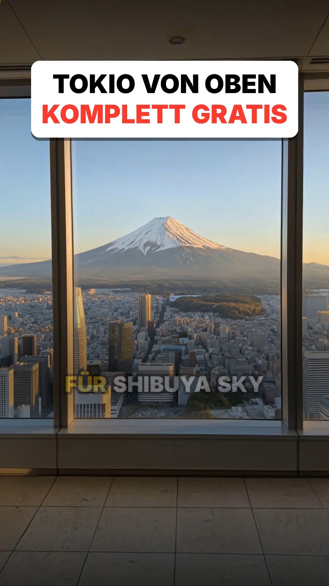 Tokyo Free Observation Decks Offer Stunning City Views