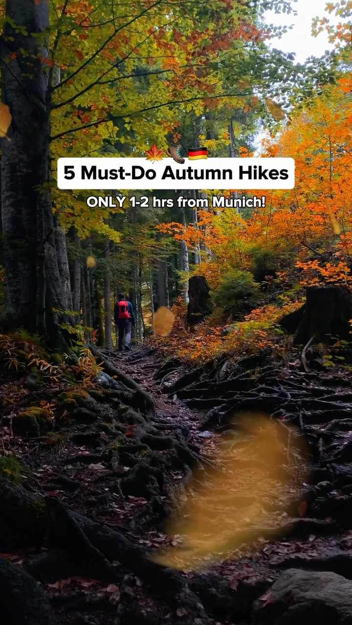 Autumn Hikes Near Munich