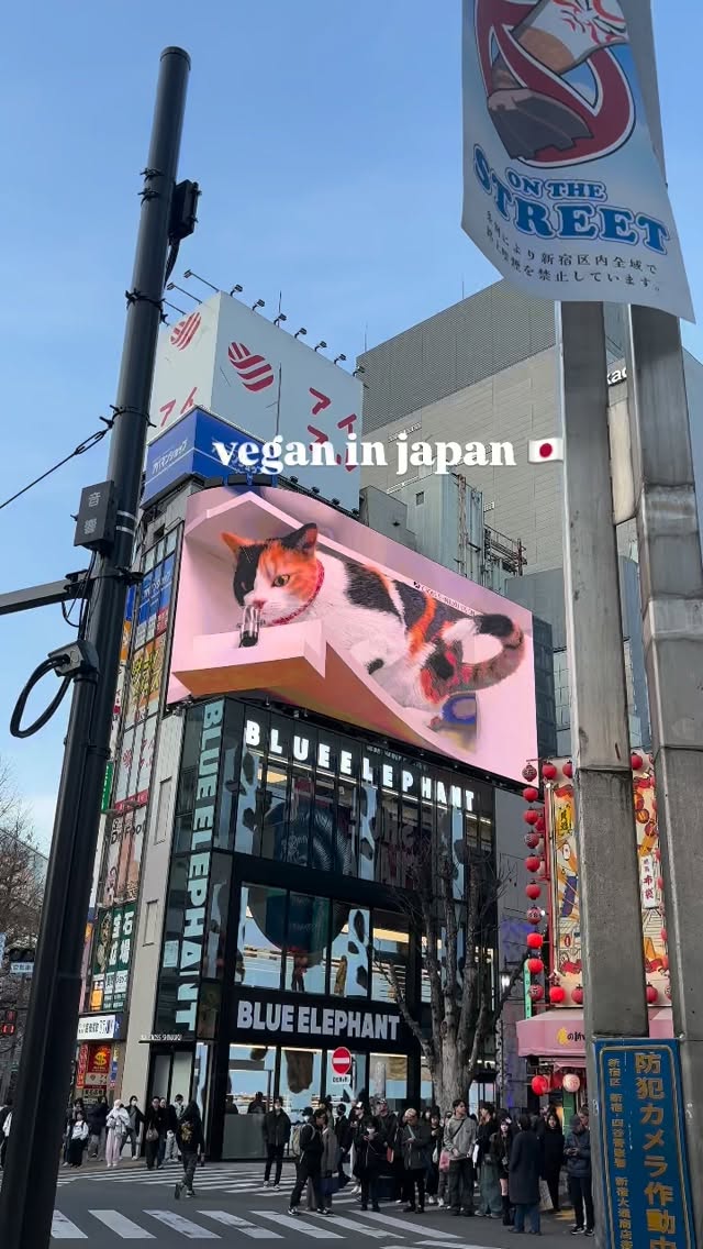 Tokyo and Kamakura Vegan Eats