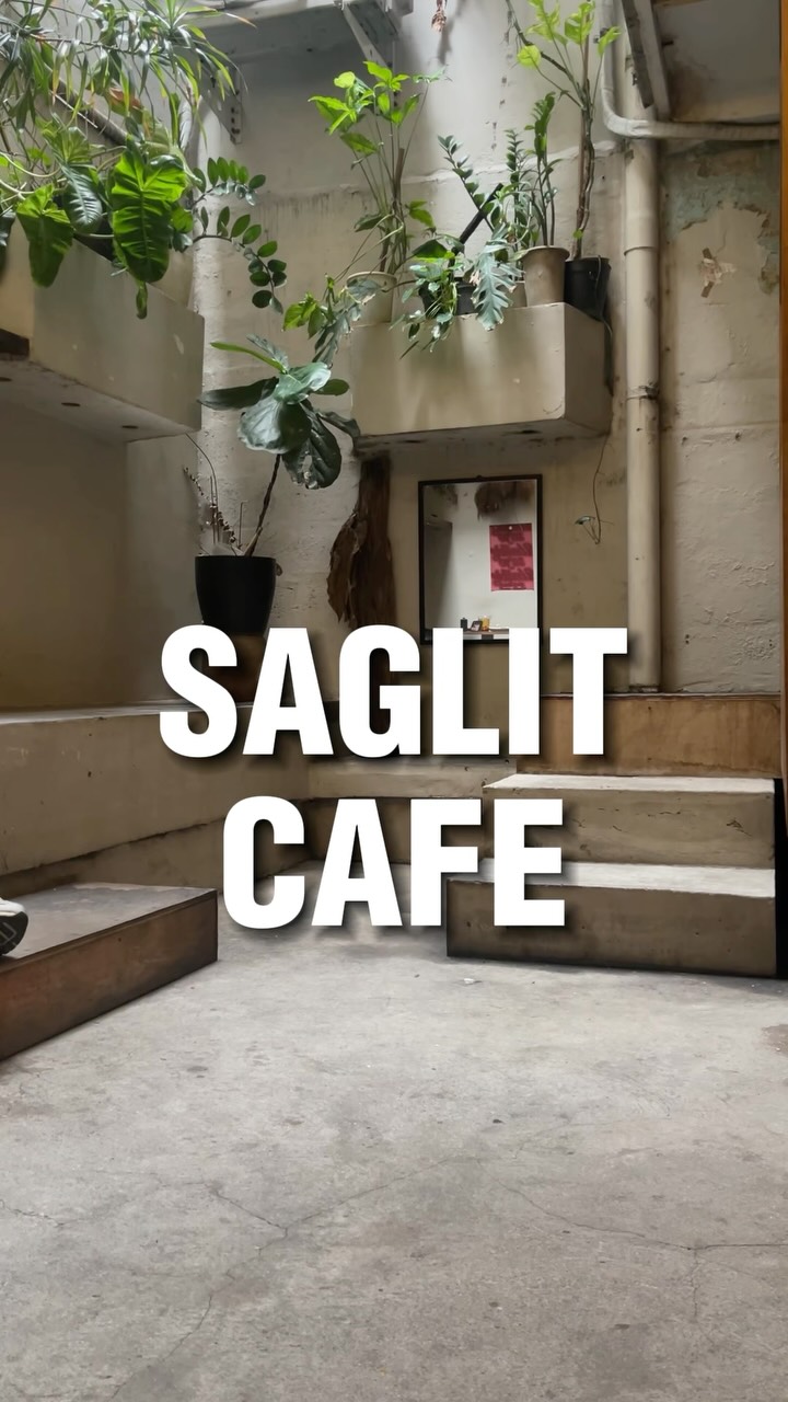 Cozy Cafe With Flowers, Wi-Fi, And A Cat