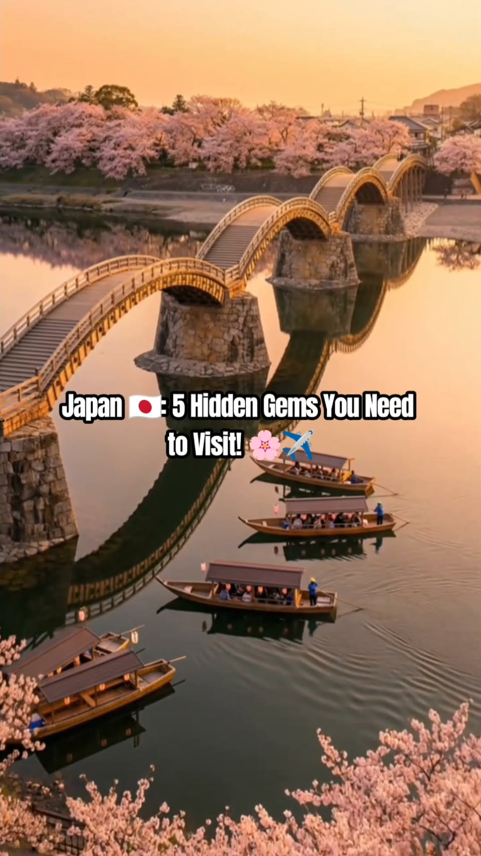 Japan's Hidden Gems: Wisteria, Blossoms, Falls, Snow