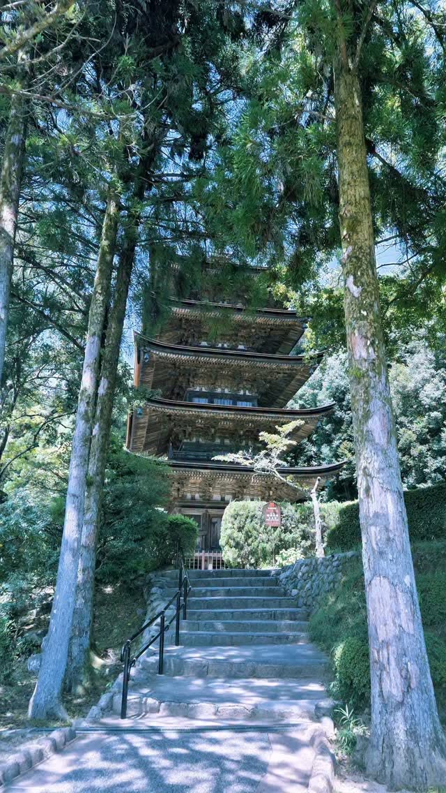 Ruriko-ji Temple's Serene Japanese Pagoda