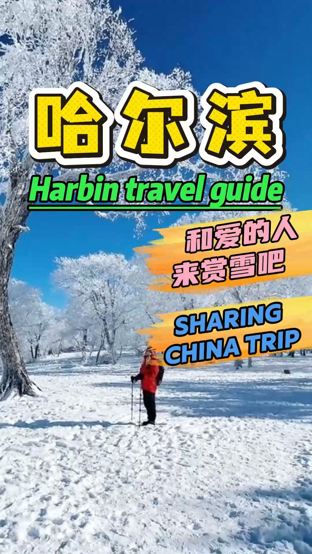 Winter Wonders of Harbin's Snowy Attractions