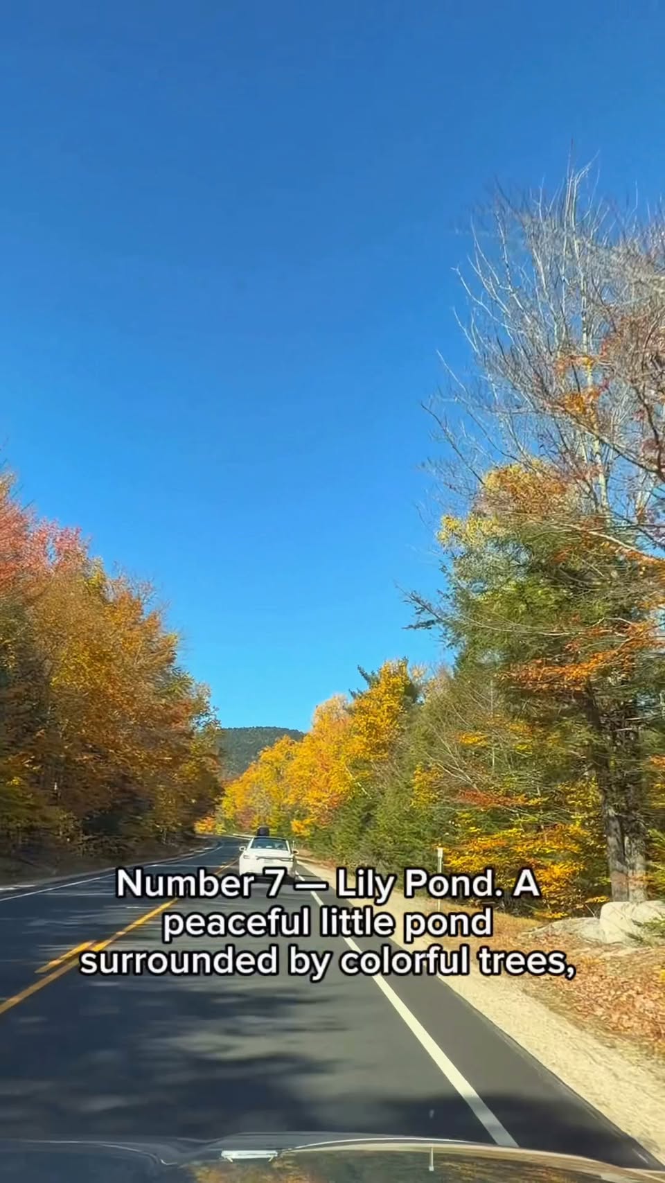 Kancamagus Highway Scenic Stops For A Fall Road Trip