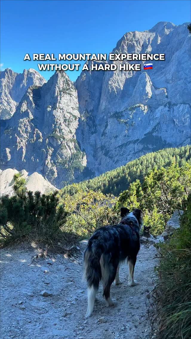 Easy Mountain Hike Through Slovenia's Julian Alps