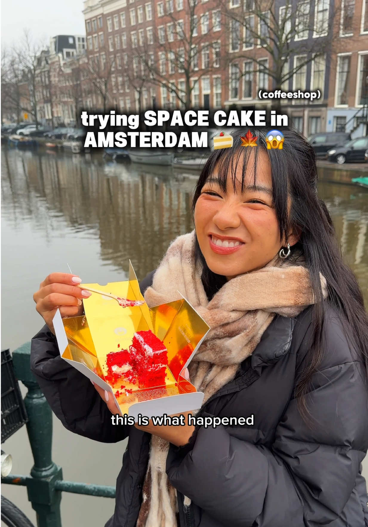 Amsterdam Edibles Adventure at Van Gogh Museum