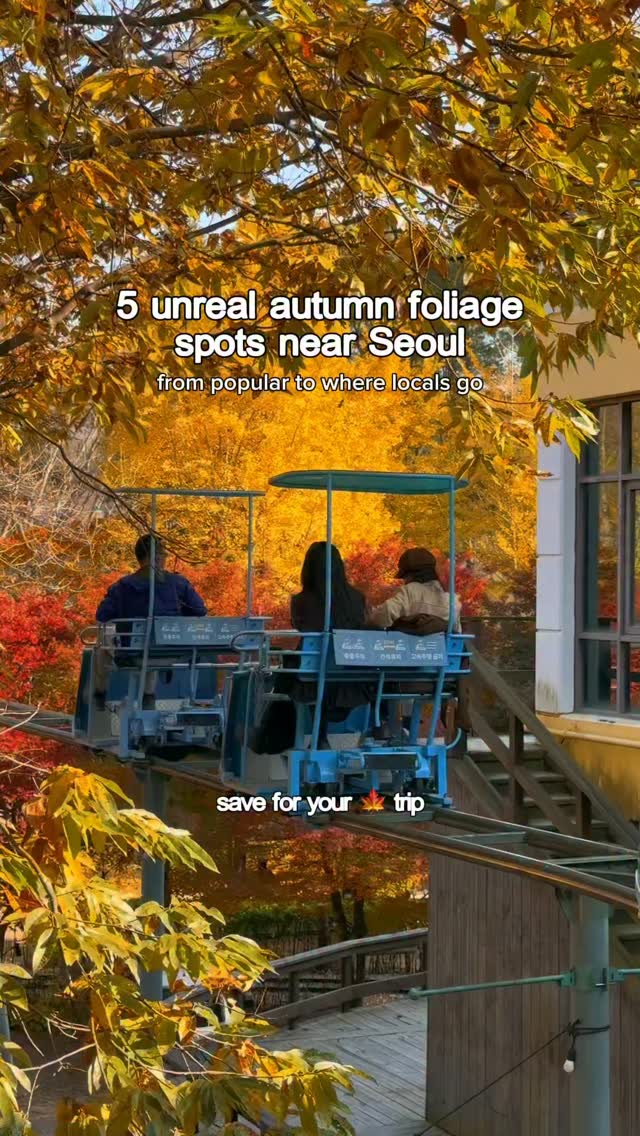 Five Autumn Foliage Destinations Near Seoul