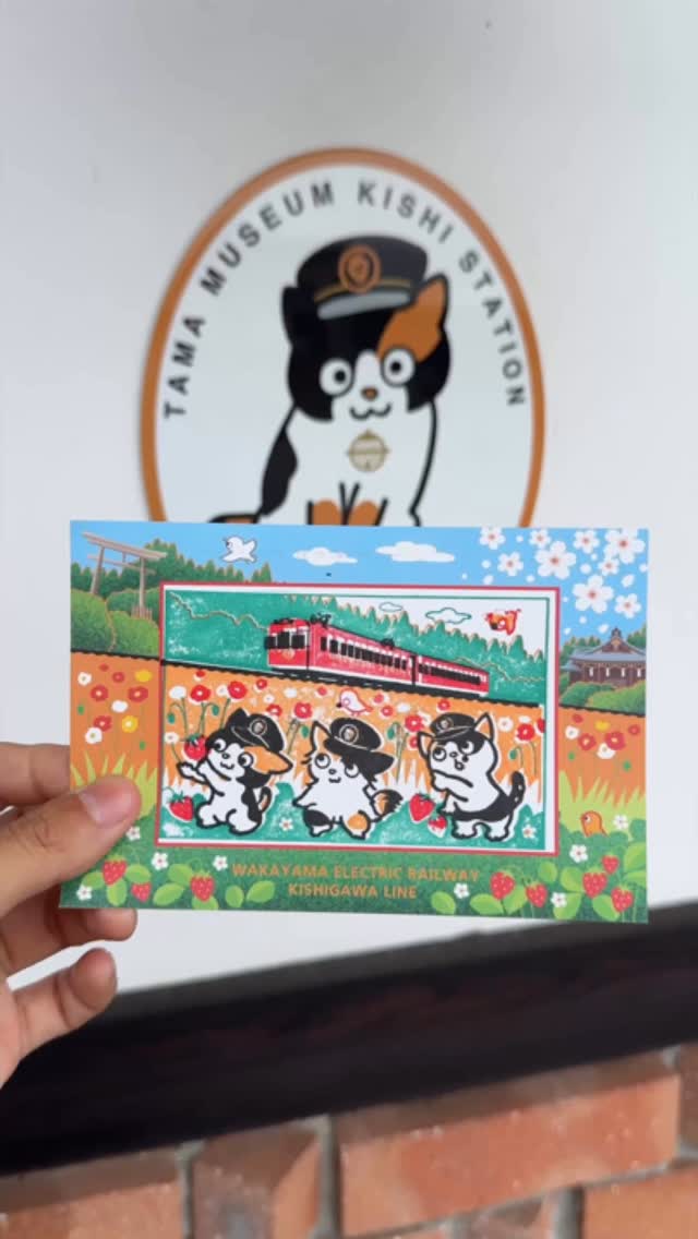 Wakayama's Cat-Themed Train Journey