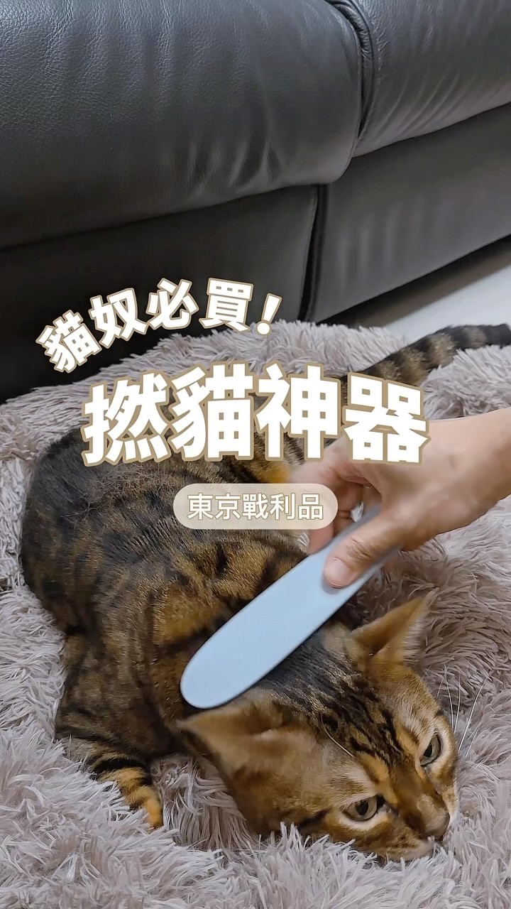 Cat Tongue Brush For Pet Pampering