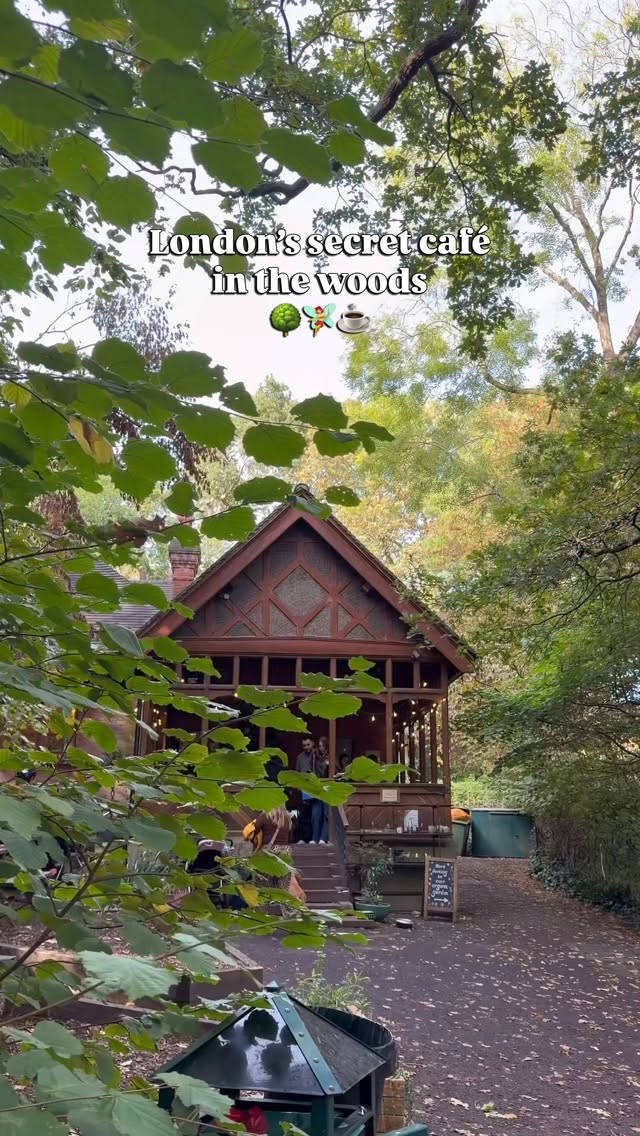 Queen's Wood Cafe: A Woodland Escape