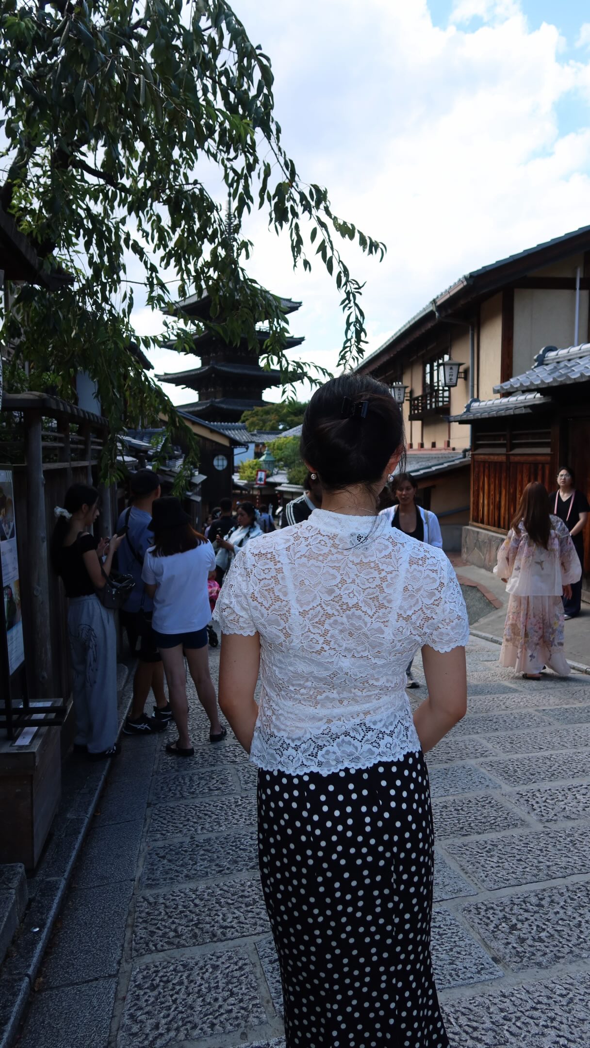Kyoto Day Trip Costs Including Temples and Food