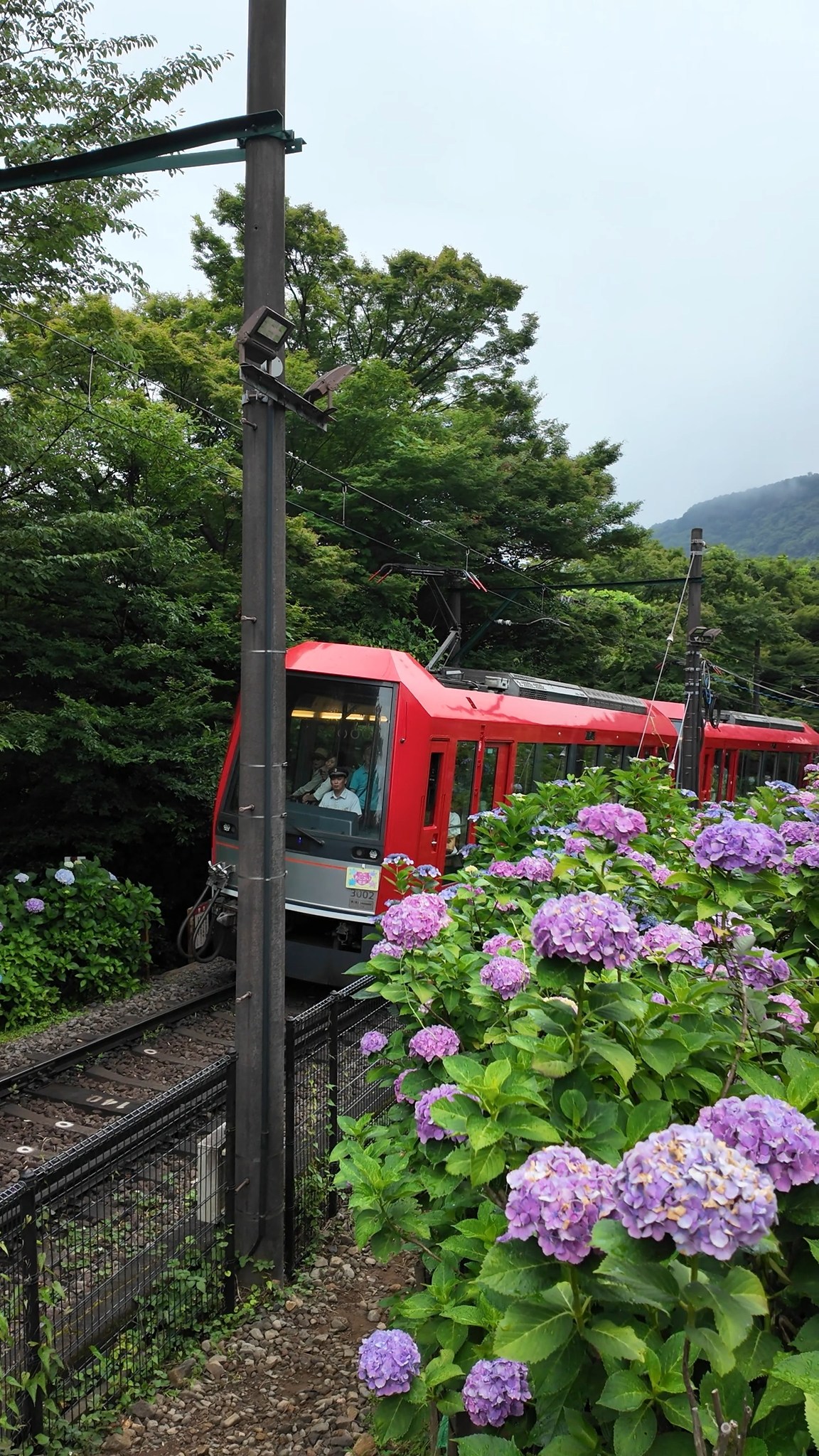 Hakone: A Japanese Day Trip for Rainy Days