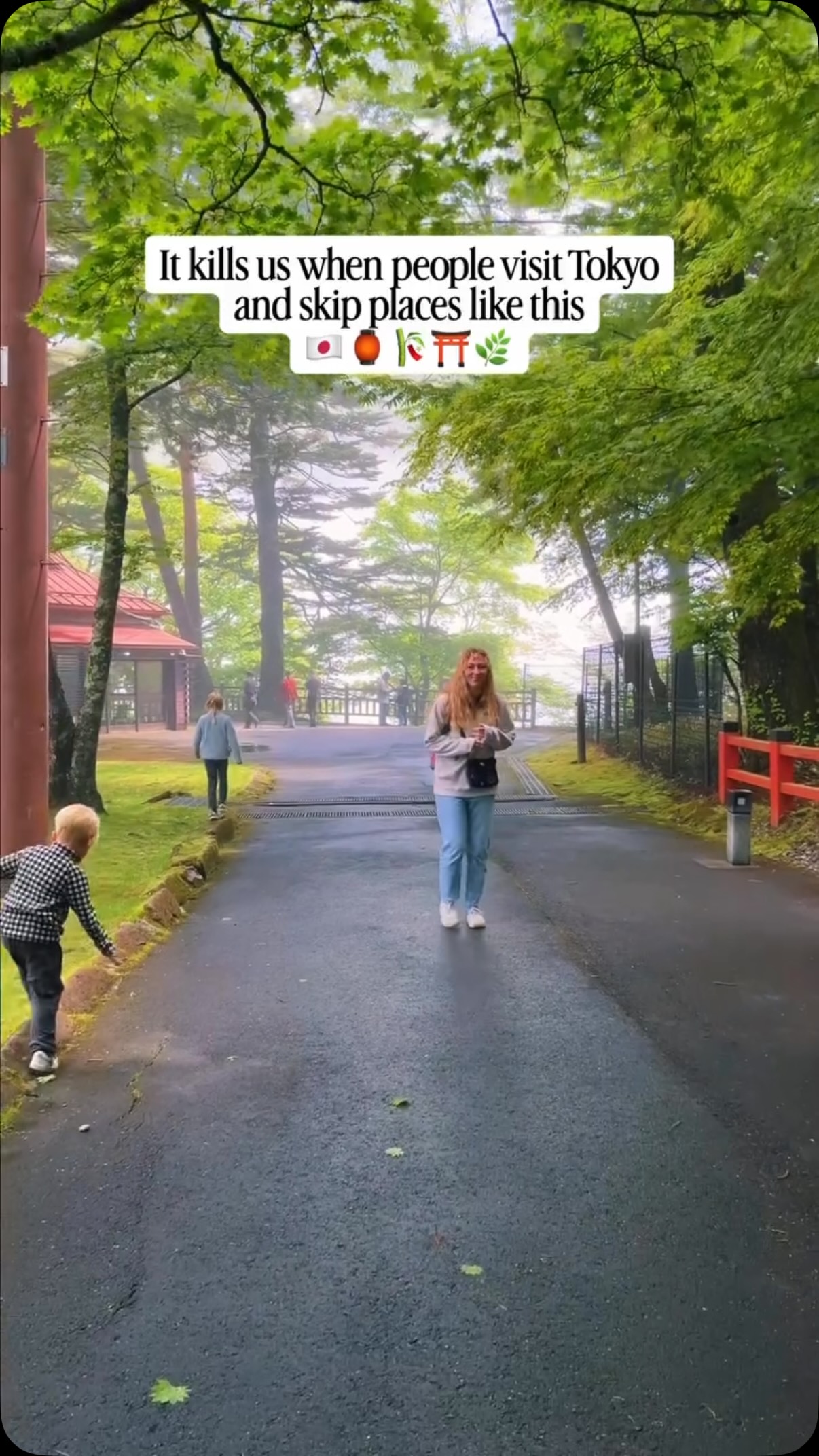 Nikko's Temples, Waterfalls, and Bridges