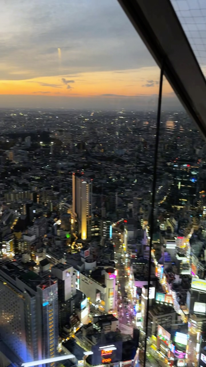 Shibuya Sky: Panoramic City Views From Long Escalator