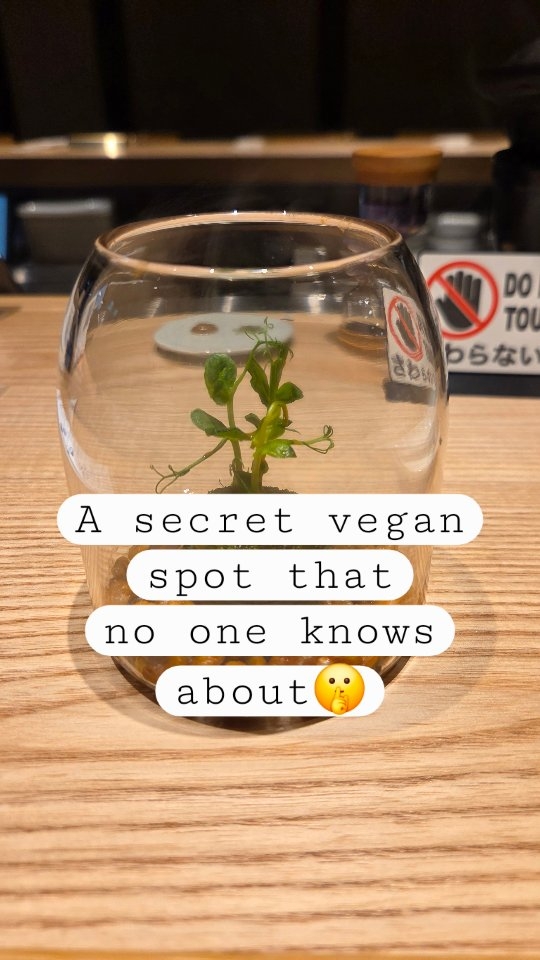 Hidden Vegan Dinner Course at Tenmade in Kyoto