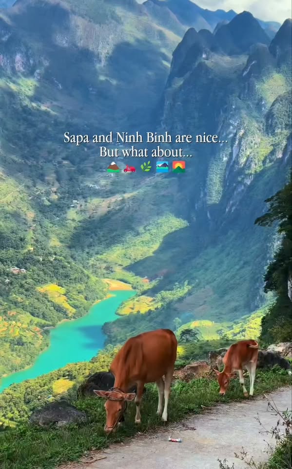 Ha Giang's Dramatic Mountain Passes and Villages