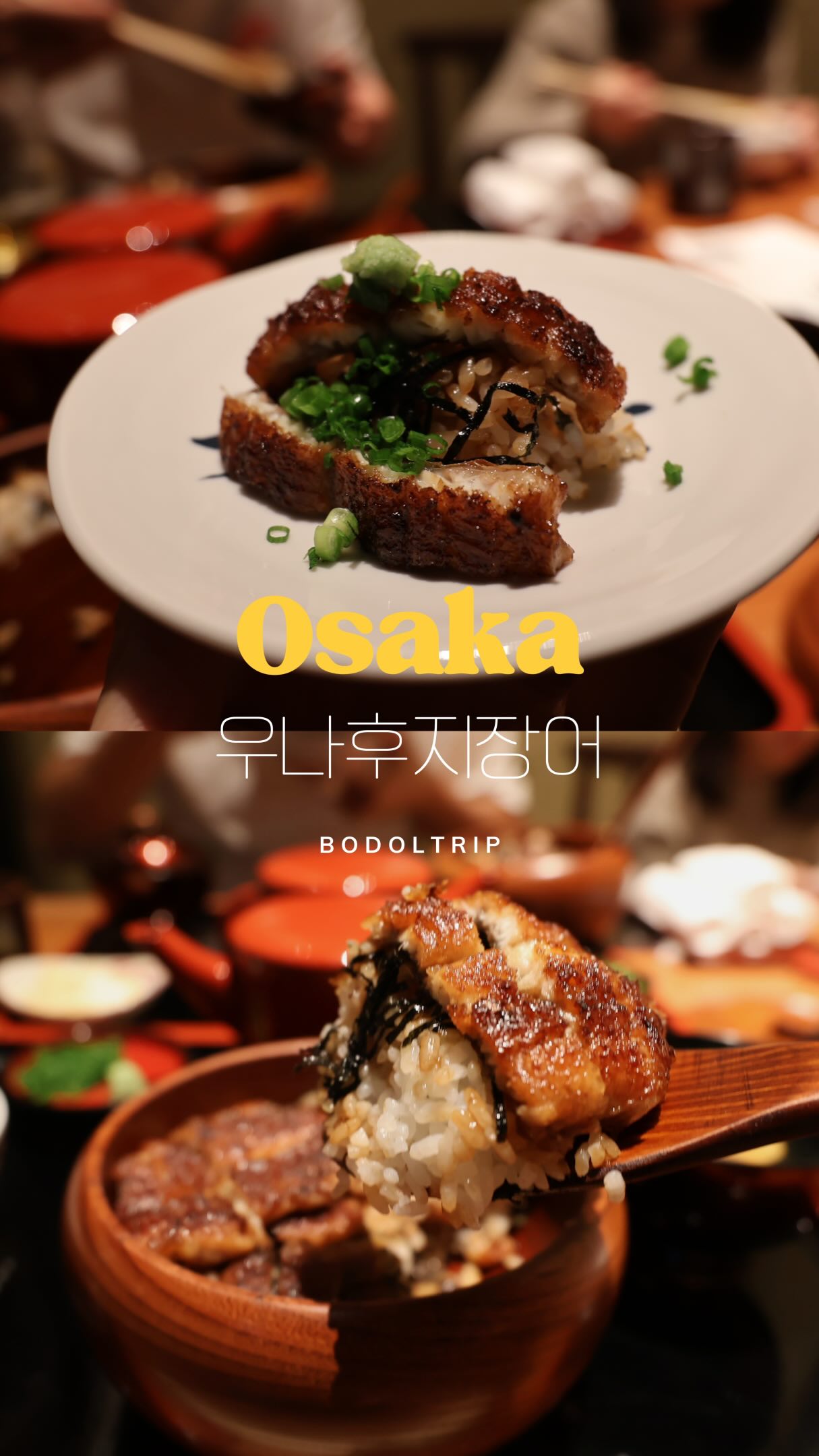 Osaka's Dotonbori and Sumiyaki Unafuji