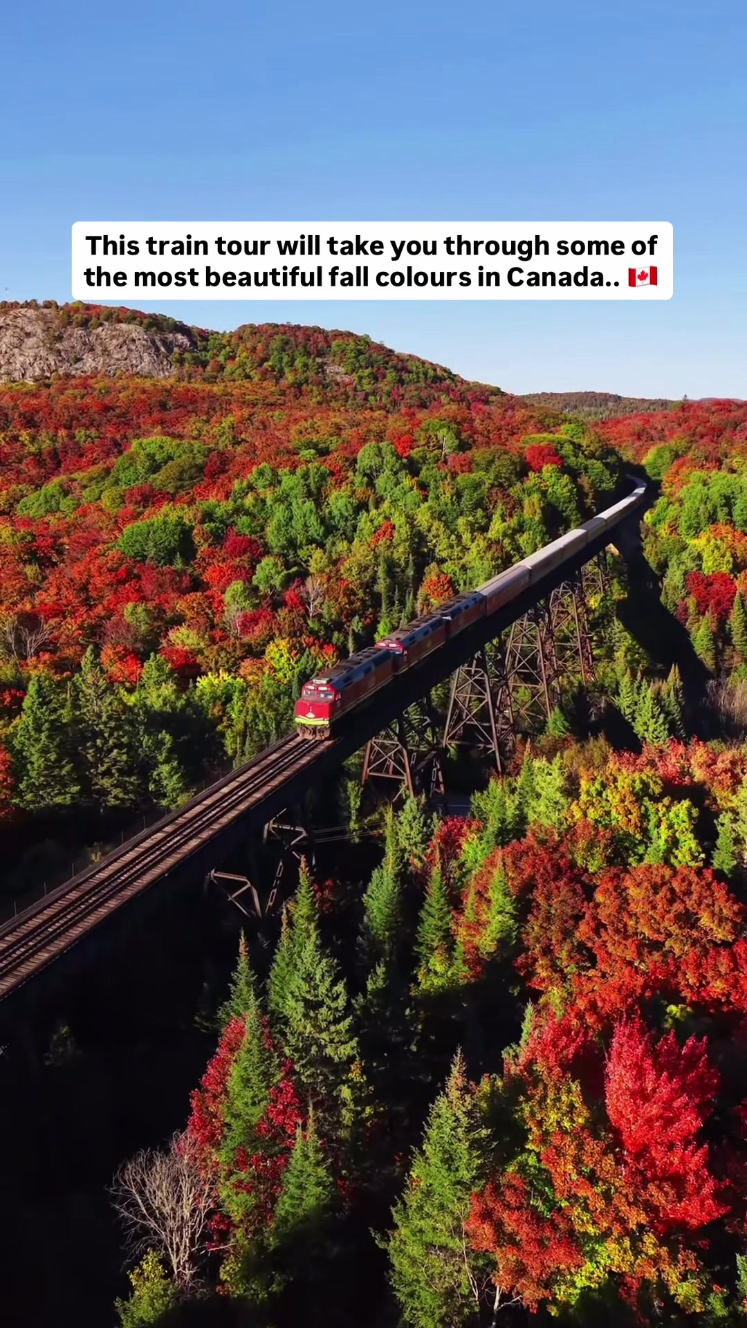 Scenic Train Journey to Agawa Canyon Park