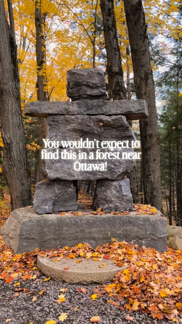 Humanics Sanctuary: An Outdoor Forest Sculpture Gallery