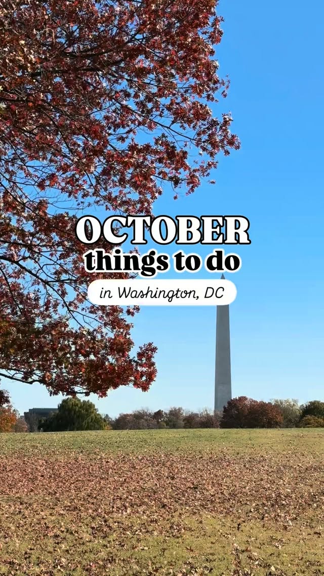 Washington D.C. Cultural and Sports Highlights